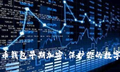 比特币钱包早期加密：保护你的数字资产